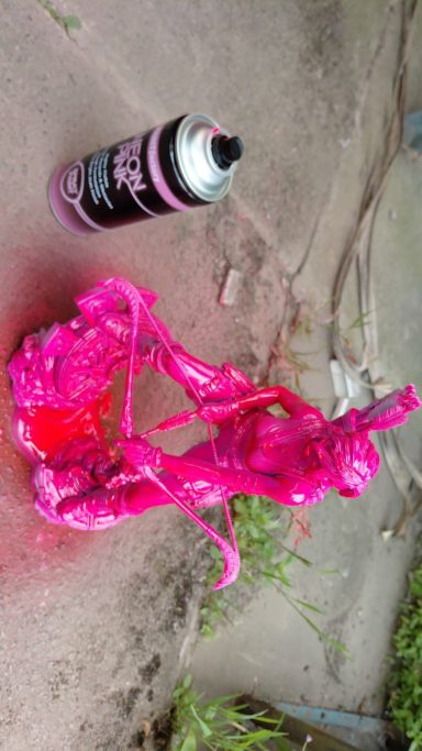 pinK Lorna expLorer